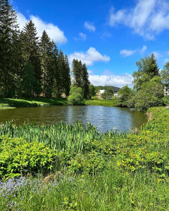 Villa Haus Im Schwarzwald Lenzkirch Exterior foto